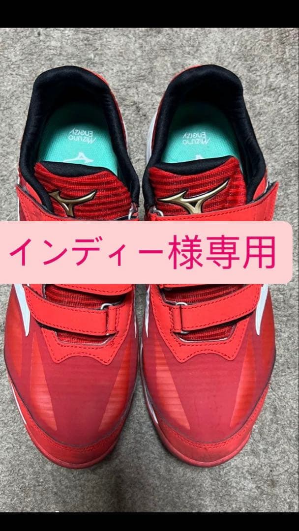 ミズノ トレーニングシューズ 28.0cm