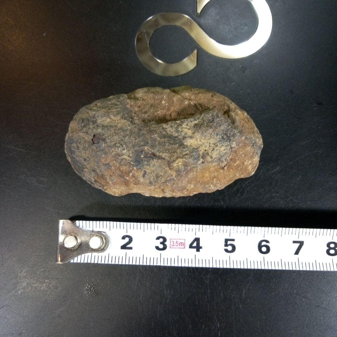 三葉虫　化石　ボリビア産　南アメリカ　trilobite　Bolivia三葉虫⑦