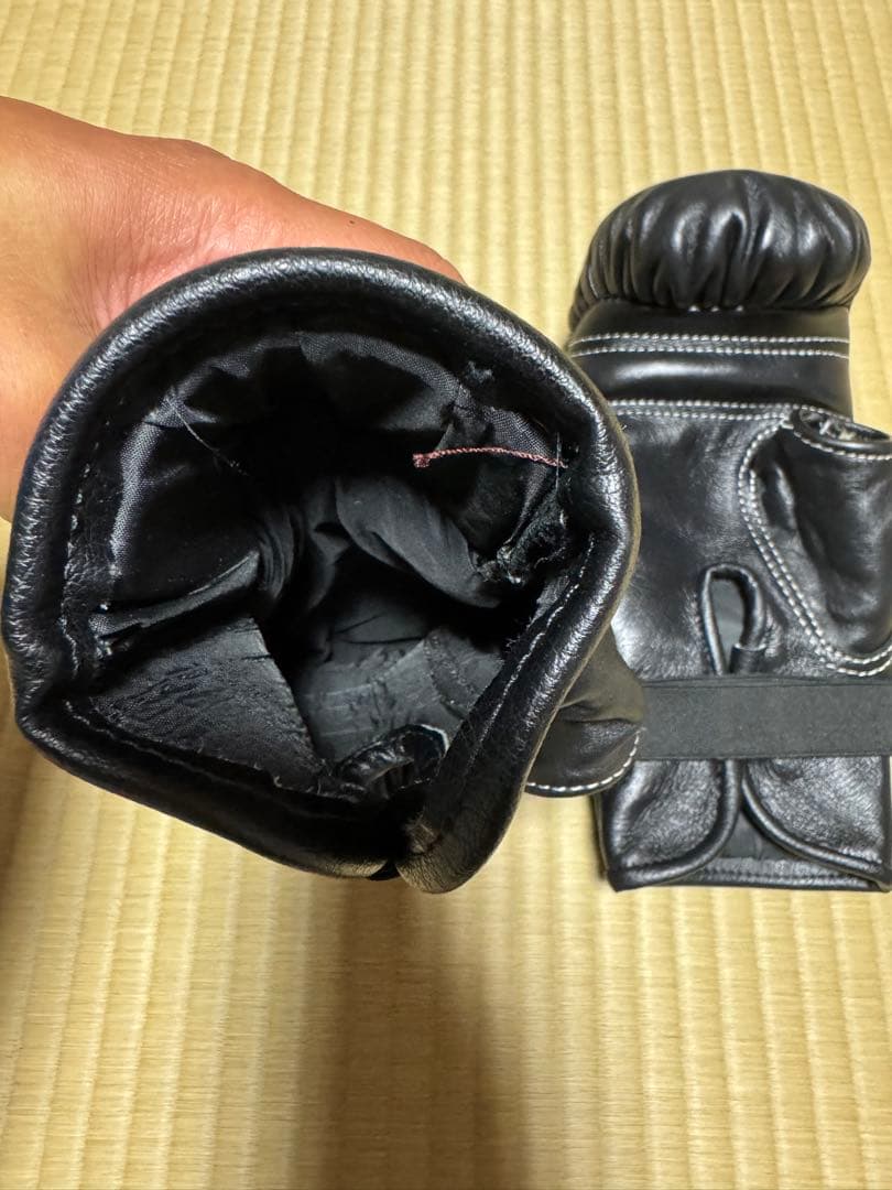 The K キングスポーツ パンチンググローブ バッググローブ K-Bag