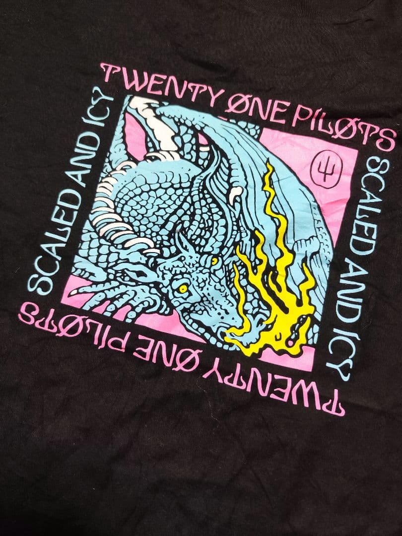 Twenty One Pilots トゥエンティワンパイロッツ Tシャツ M