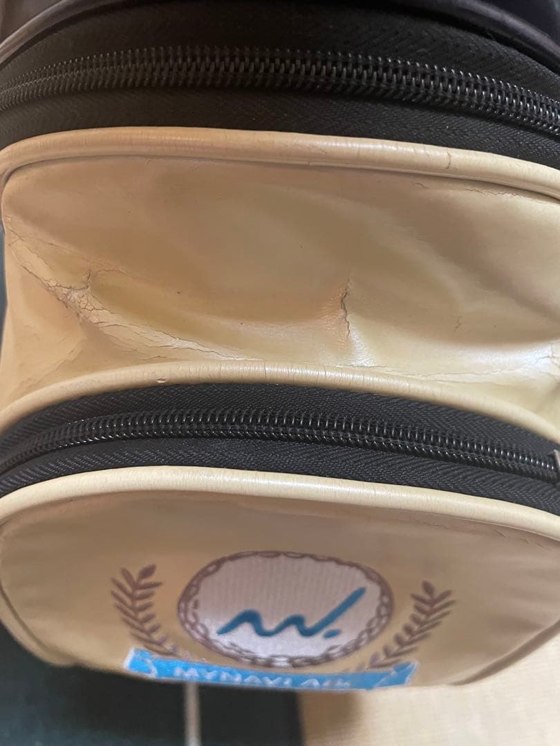 MASTER BUNNY EDITION マイナビのロゴ入　ボール6球プレゼント