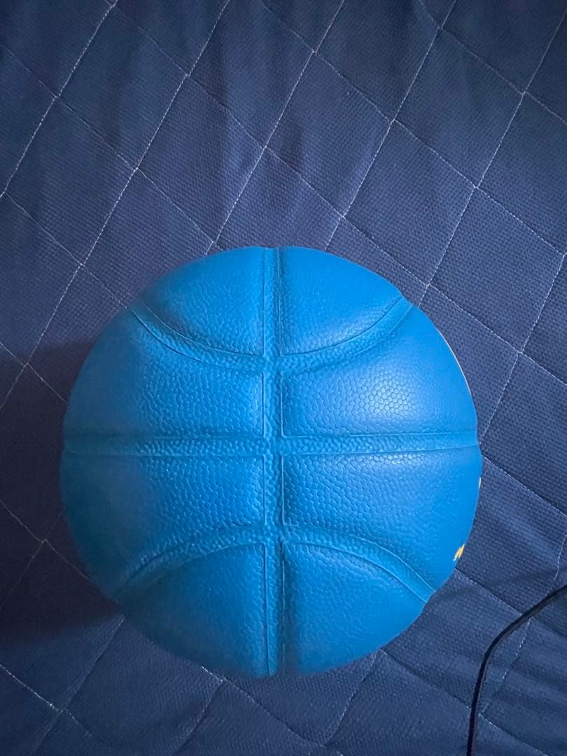 TACHIKARA Ballaholicバスケットボール　7号