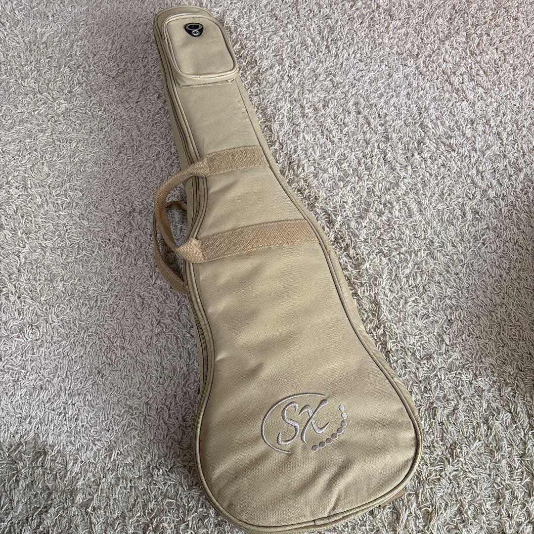 SX トラベラーギター TG1