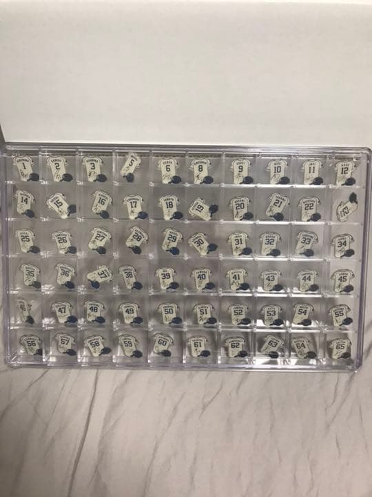 【交渉OK】埼玉西武ライオンズピンバッジ2017 セミコンプリート