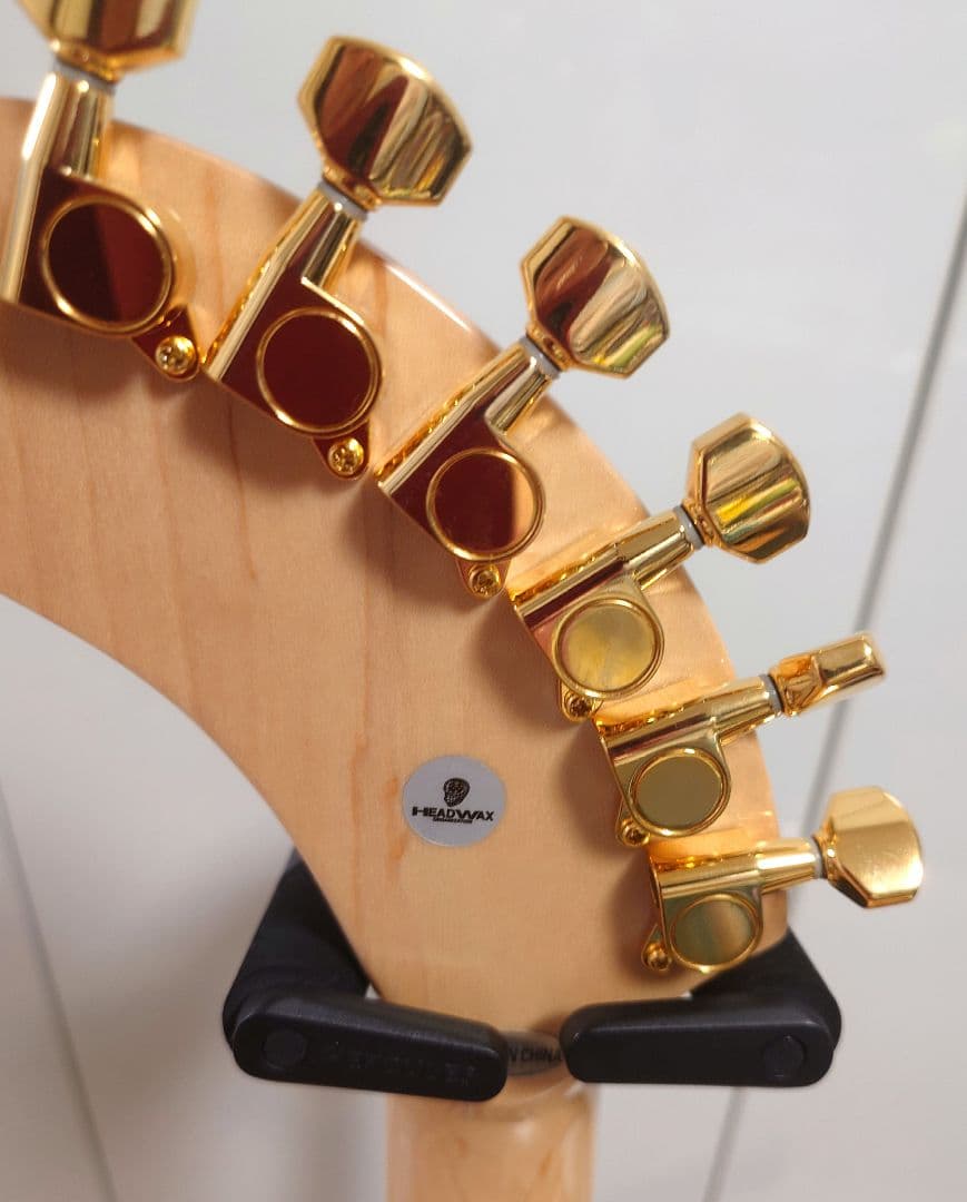 FERNANDES ZO-3 hide サイケ ハードケース付き