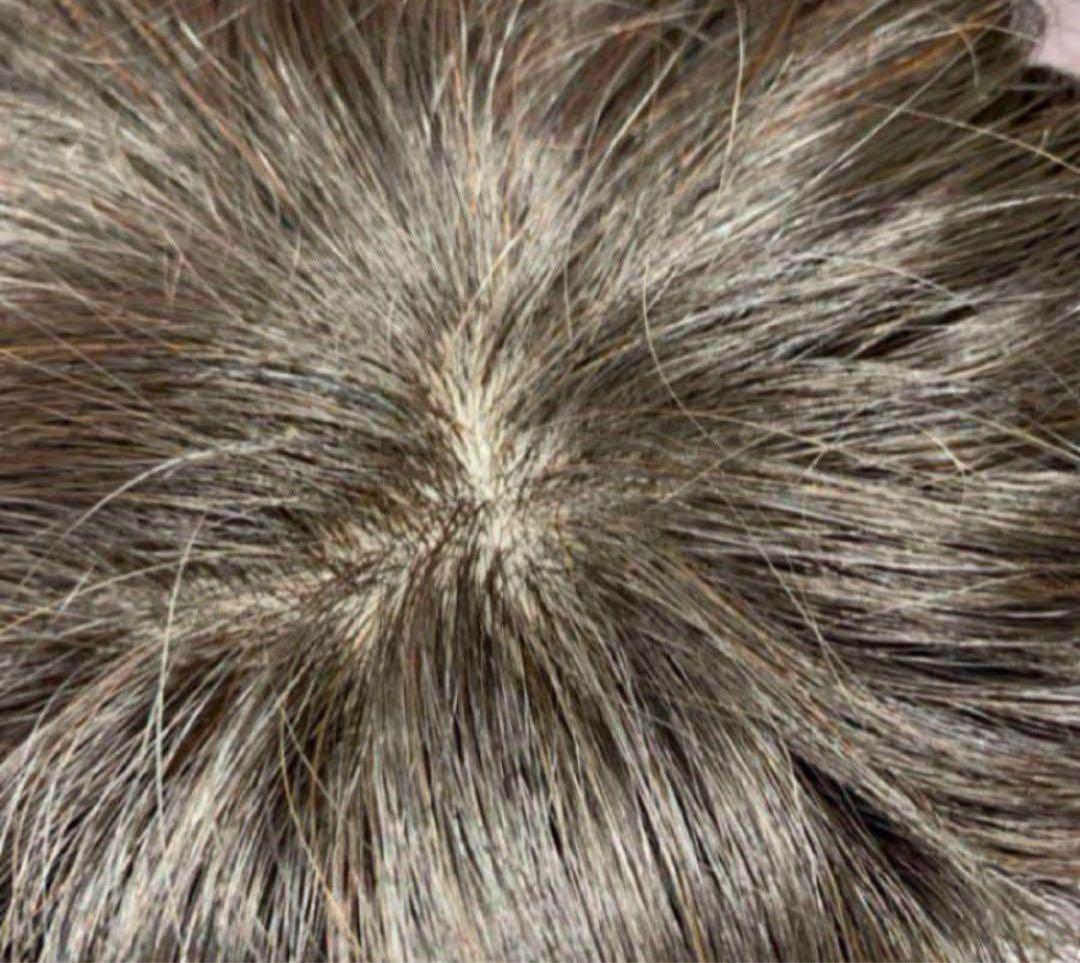 HairDre ヘアドレ L② 人毛100%ウィッグ ダークブラウン黒茶