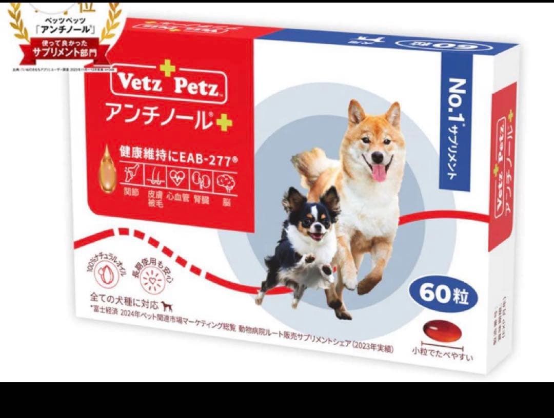 アンチノールプラス60