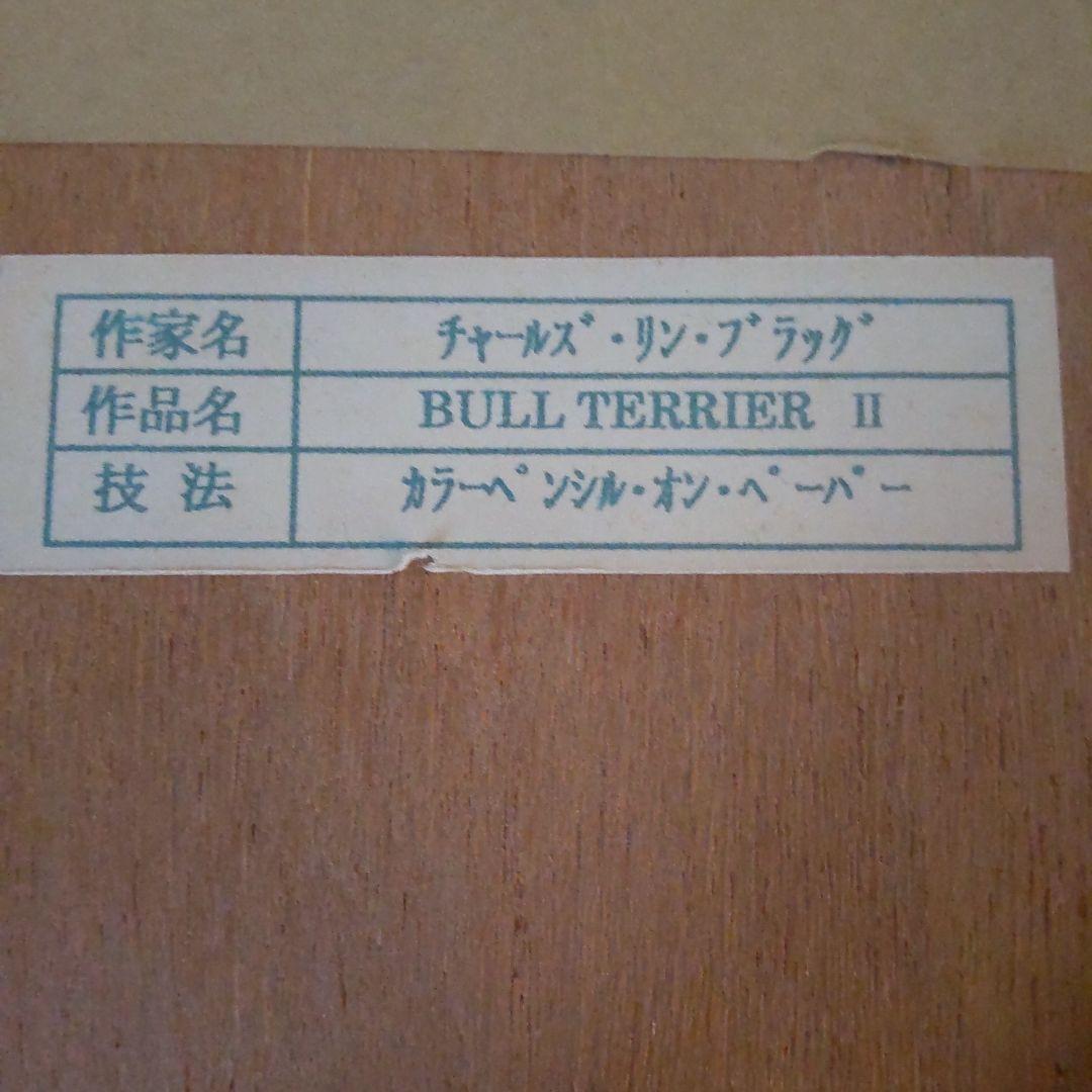 チャールズ・リン・ブラッグ　犬　色鉛筆画　5号