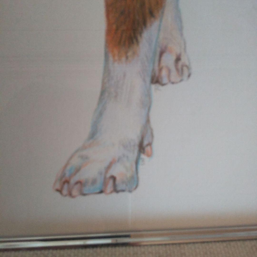 チャールズ・リン・ブラッグ　犬　色鉛筆画　5号