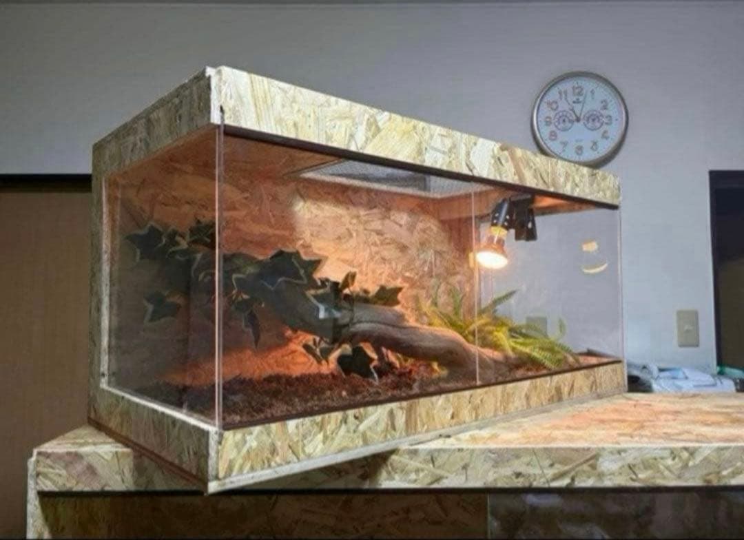 爬虫類ケージ 80×40×40 サイドアクリル　飼育ケージ ケージ 爬虫類