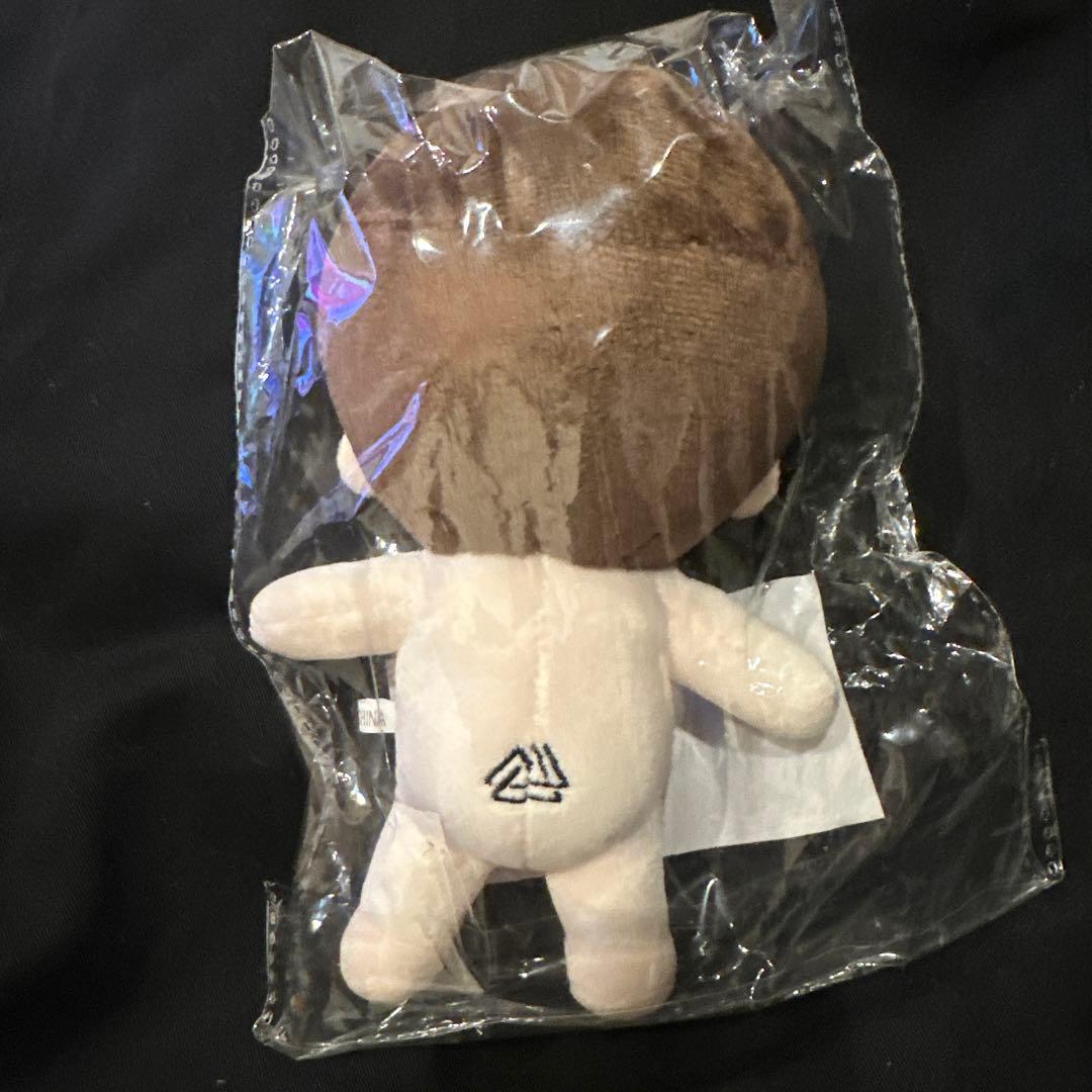 チ・チャンウク ぬいぐるみ 15cm 新品