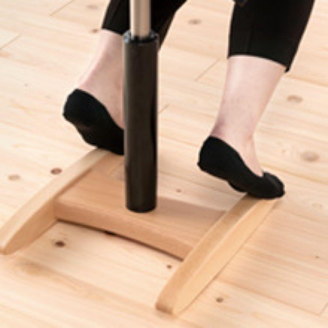 バランスシナジー（ラウンド型）（ボルドーの専用座面カバー付）