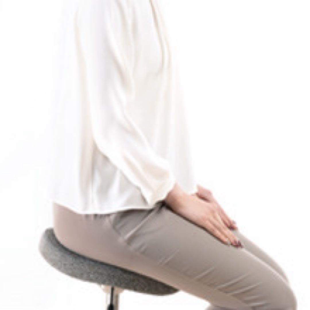 バランスシナジー（ラウンド型）（ボルドーの専用座面カバー付）