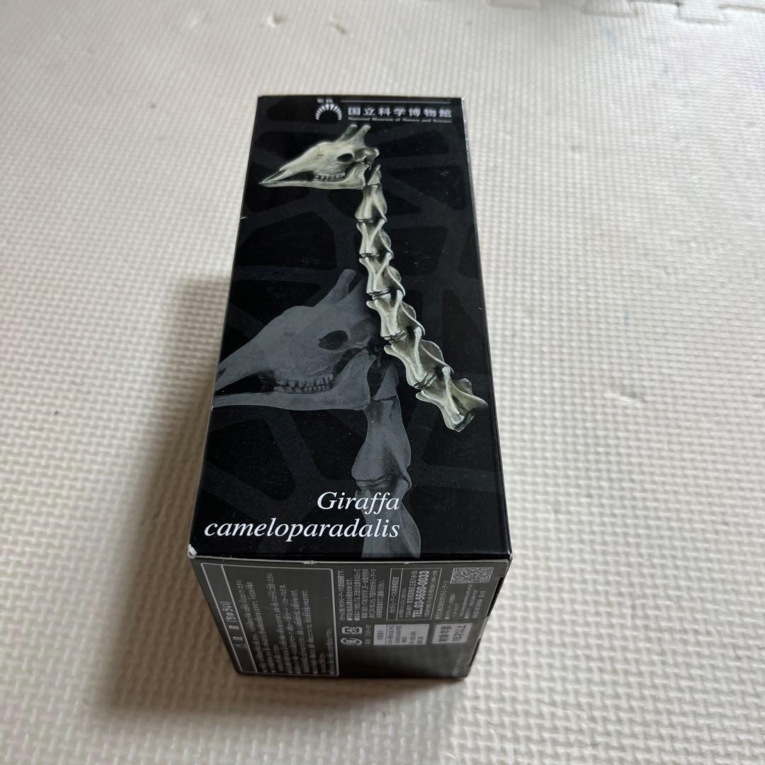 ツノのある動物図鑑　キリン　BOX 国立科学博物館