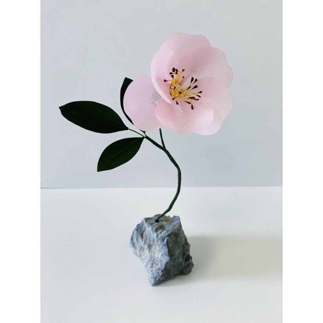 ★ eden works ペーパーエデン エデンワークス　edenworks