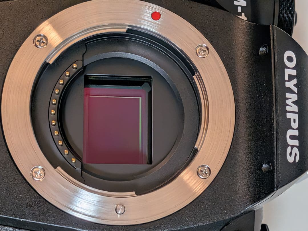 ショット数極小美品︰OM SYSTEM OM-1 ミラーレス一眼カメラ