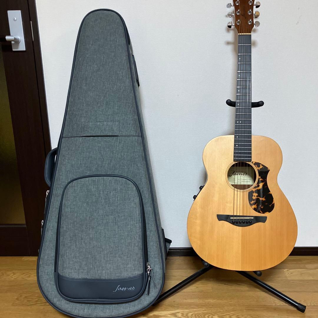 JAMES　エレアコ　アコースティックエフェクトシステム　取説付き　おまけ付き