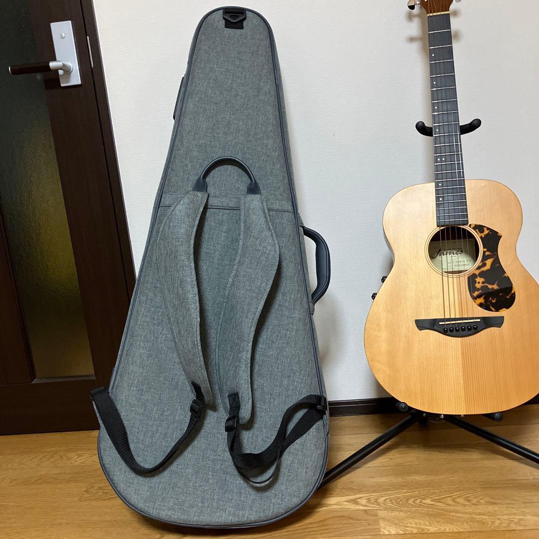 JAMES　エレアコ　アコースティックエフェクトシステム　取説付き　おまけ付き