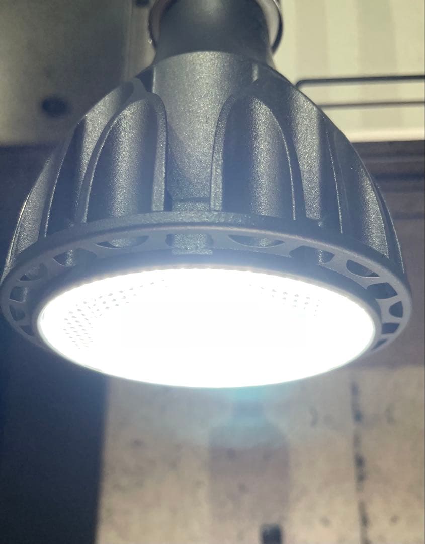 barrel ネオアマテラス　ヘリオスグリーン(ジャンク)セット　20W LED