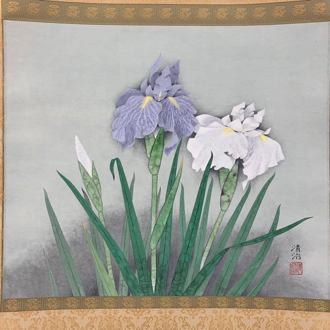 【掛軸】井上清治「菖蒲」共箱 太巻 二重箱仕立て