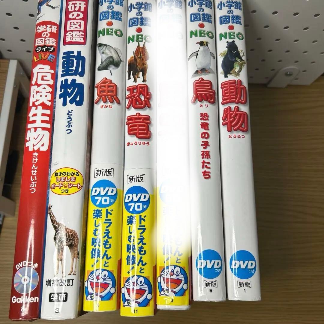 動物図鑑 NEO DVD付き
