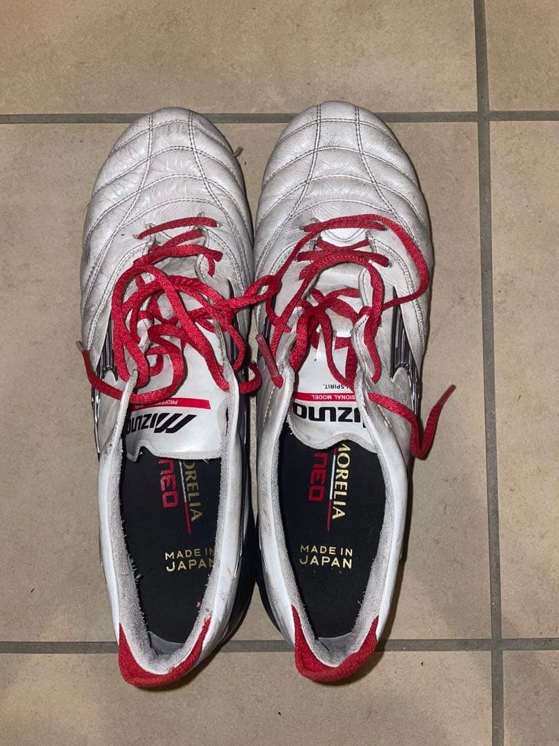 p*r様 モレリアネオ3