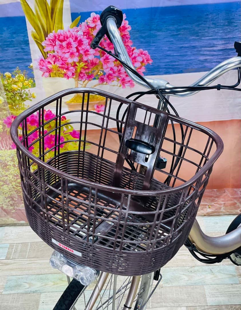 日淘市集公式アカウント08　Y2446 アシスタ⭐️ 激レア24インチ ブ