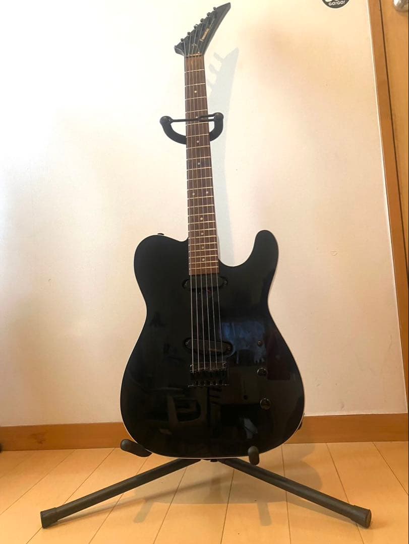 【即購入歓迎】FERNANDES ギター