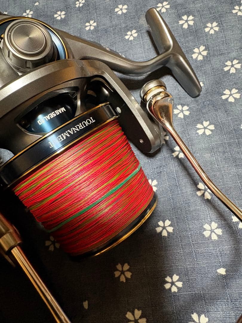 ダイワ　19トーナメントサーフ45 06PE