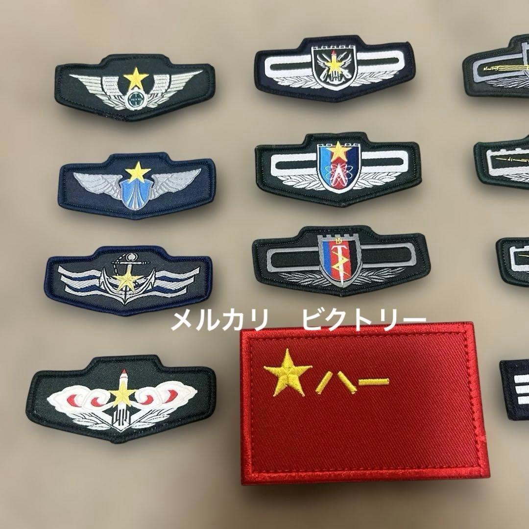 国家機密　現役中国人民解放軍　胸章部隊章ミリタリーパッチ 12枚フルセット