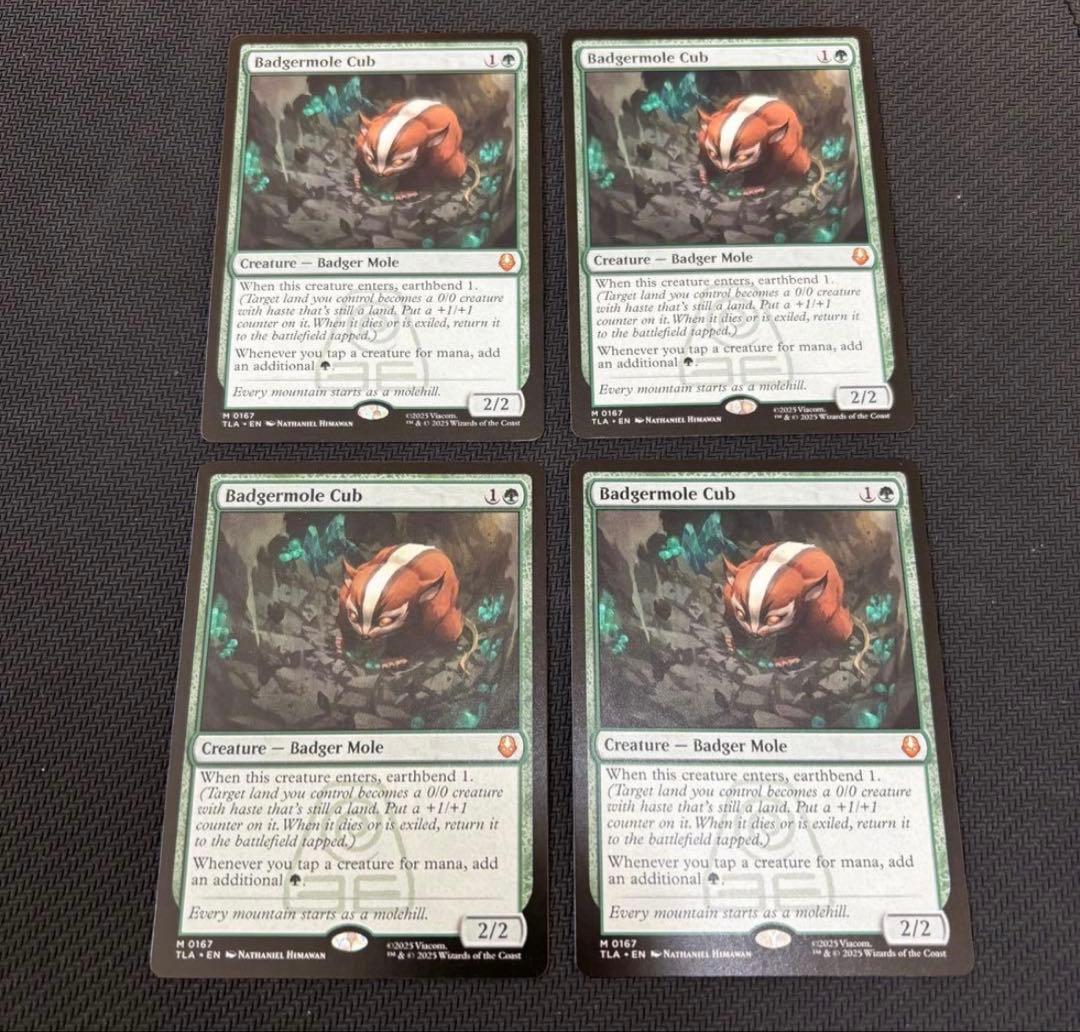 アナグマモグラの仔 英語版 2枚