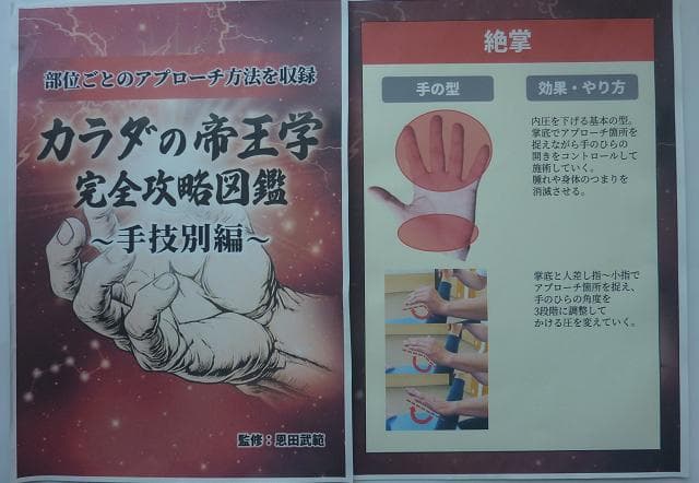 天掌 DVD & 資料セット