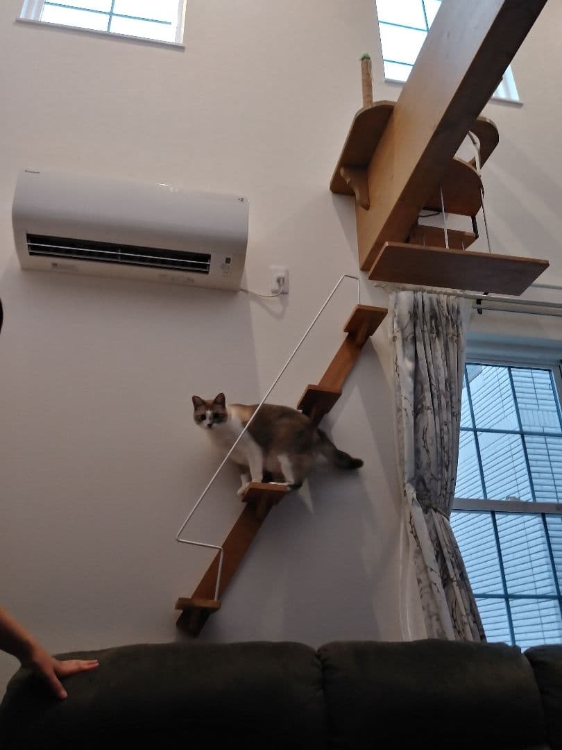 キャットウォーク、手すり付き階段、ねこちゃんもあんしん、軽量設計