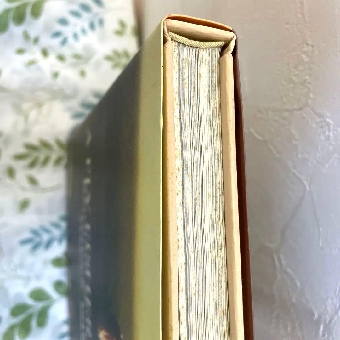 水生昆虫アルバム 第1版/島崎憲司郎 釣り フライフィッシング