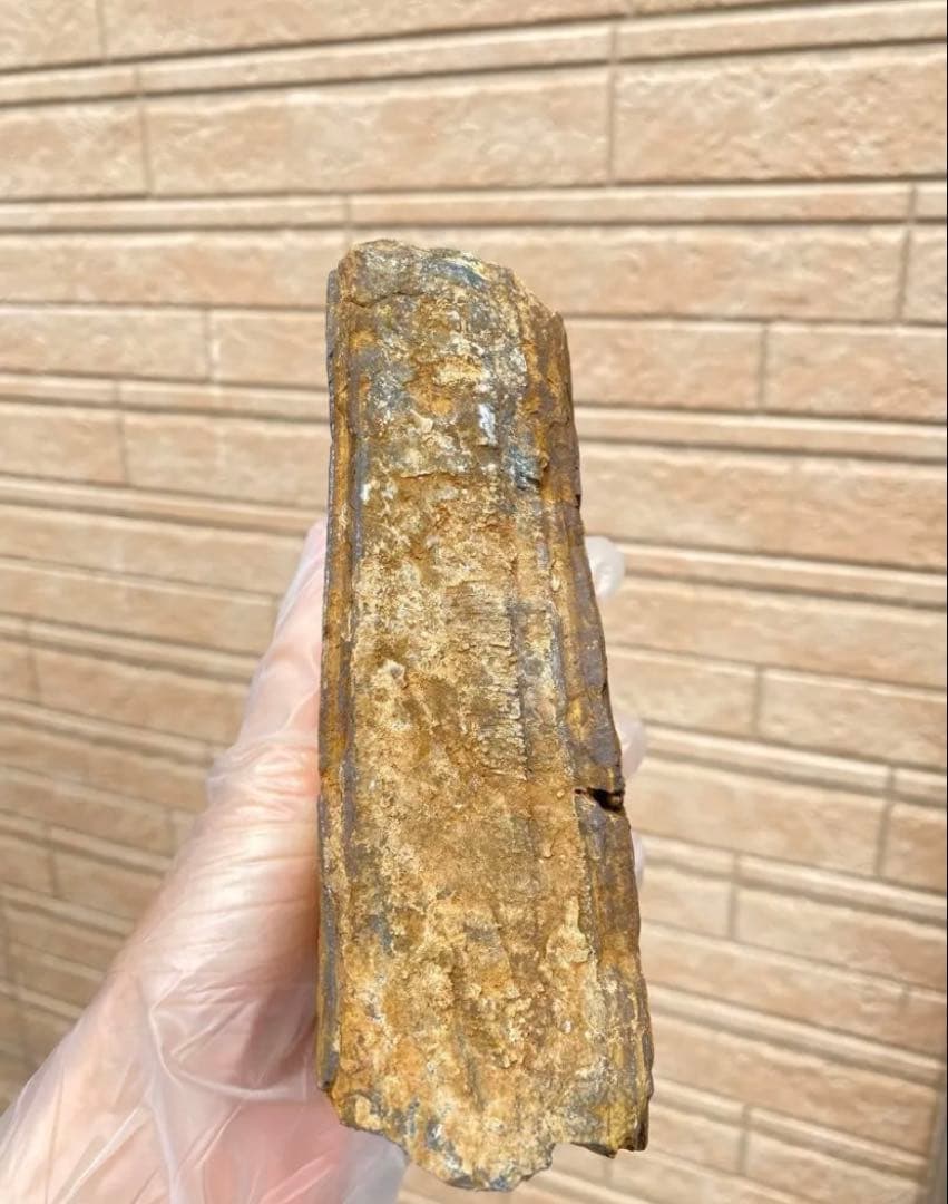 ￼ブルータイガーアイストーンスラブ虎目石天然石超大きめ原石金/仕事運