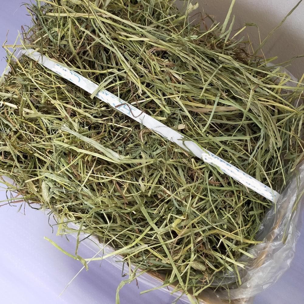 US産 チモシー 50kg ２番刈 ソフトSプレミアム