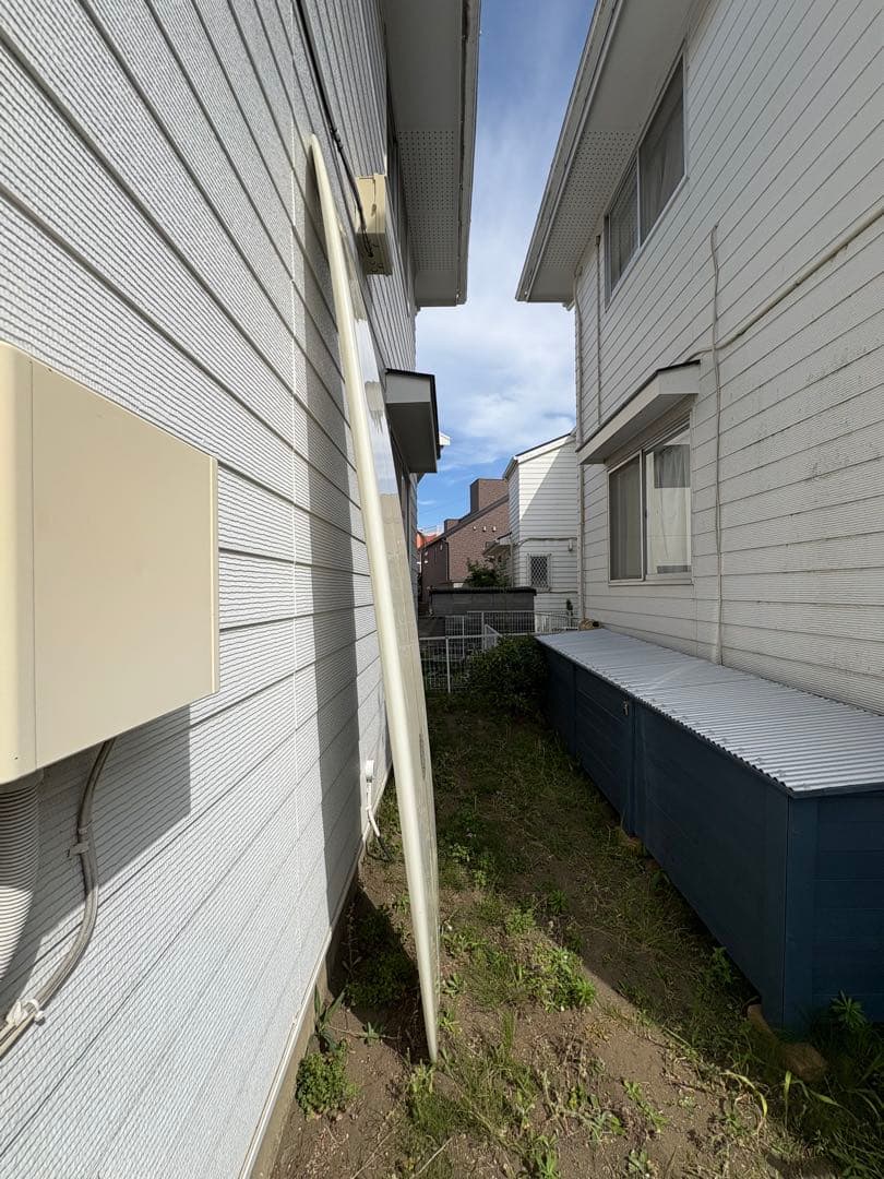 Corey Colapinto Cherubim 9’3 サーフボード