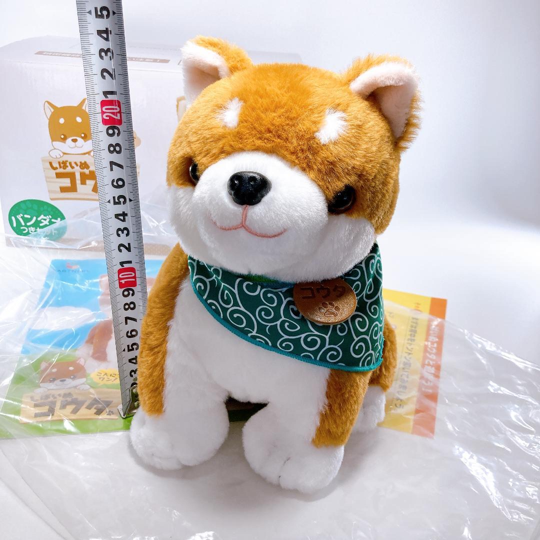 しばいぬコウタ バンダナつきセット こんにちワン！しばいぬ コウタ　|4007|