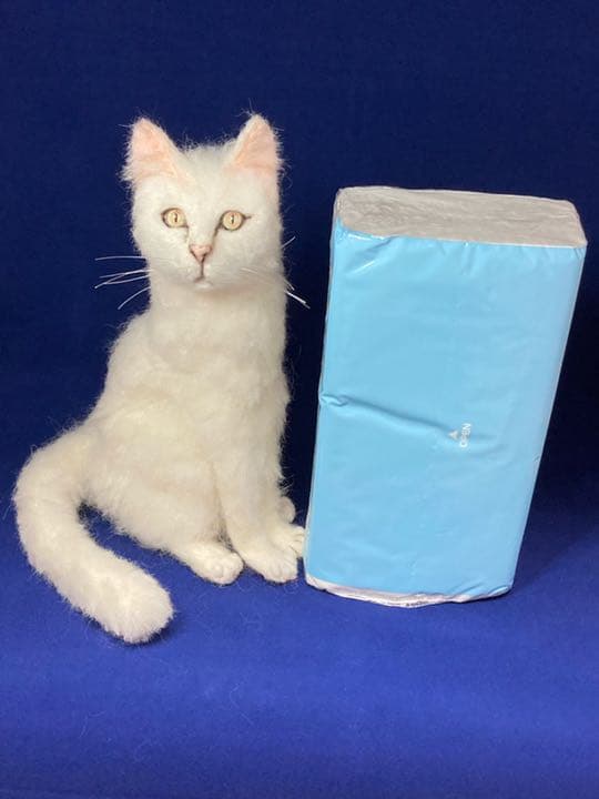 白猫 Lサイズ サンプルページ オーダー