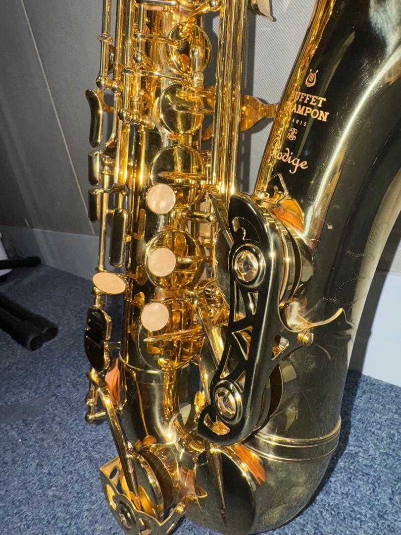 Buffet Crampon Prodige 選定品