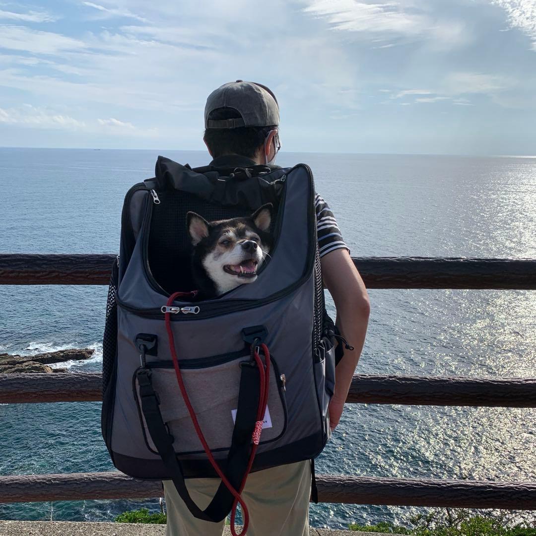 美品　LIFE LIKE 2wayリュック　ペットキャリー耐荷重15kg 災害