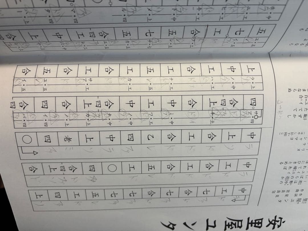 ヘビ柄 三線 本体 教本付き