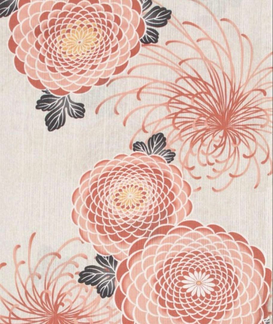 DITA ディータ 繚乱桜花 浴衣5 点セット 浴衣