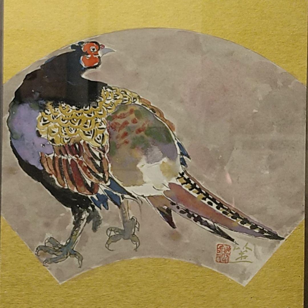 AC43【真作】斎藤清策 雉 色紙額 扇面図 日本画 鳥 タトウ黄布 美品