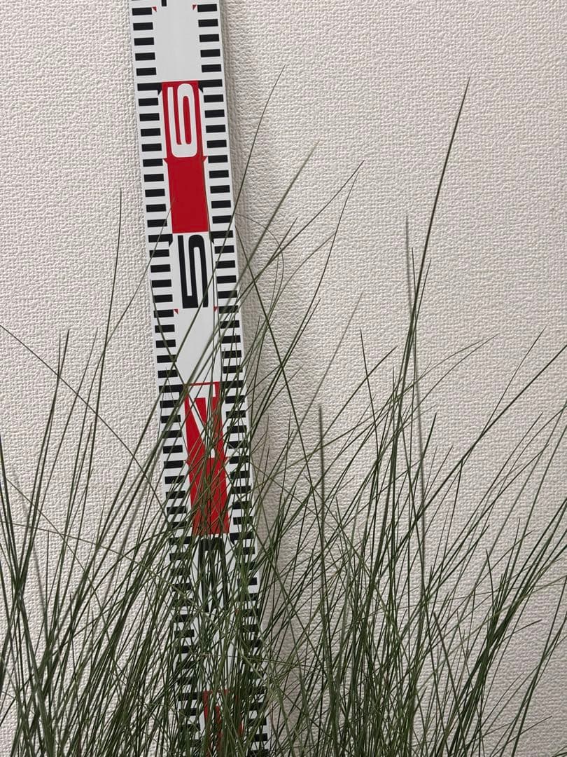 アオイトキさん専用　コスパ最強★極上クサントロエア・プレイシー /