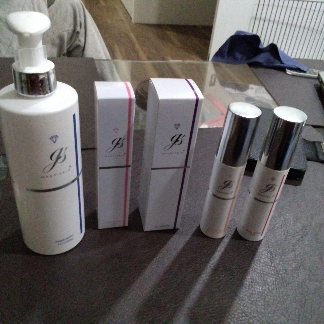 ガウディスキン