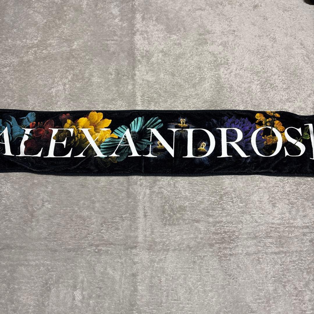 邦ロックバンド タオル セット