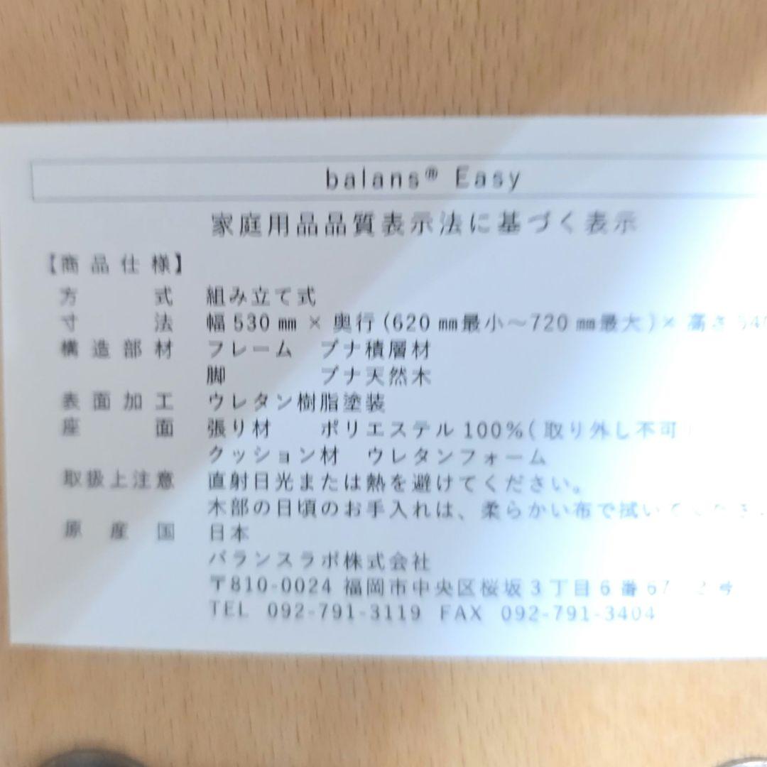 446】Rybo リボ社 Balans Easy バランスイージー カバー付