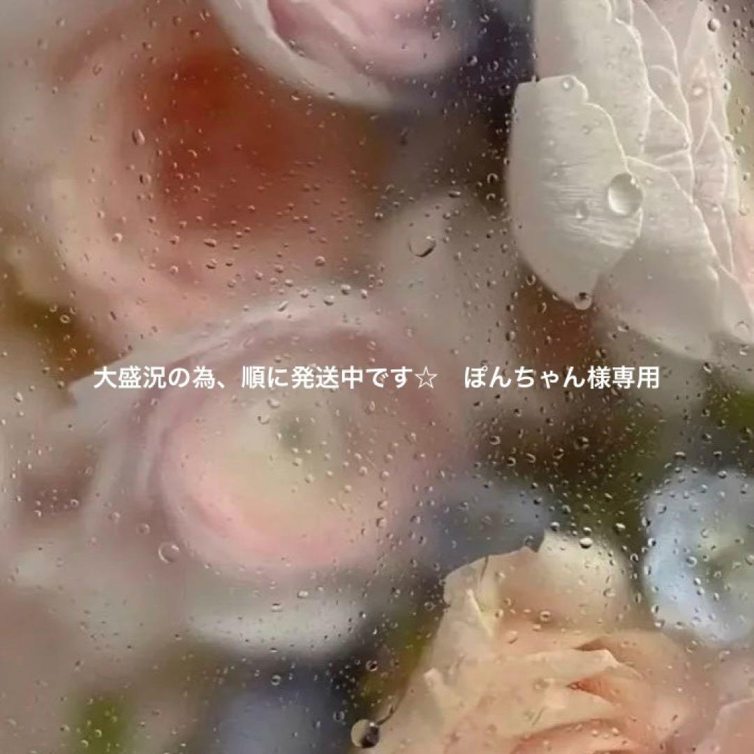 大盛況の為、順に発送中です☆　ぽんちゃん