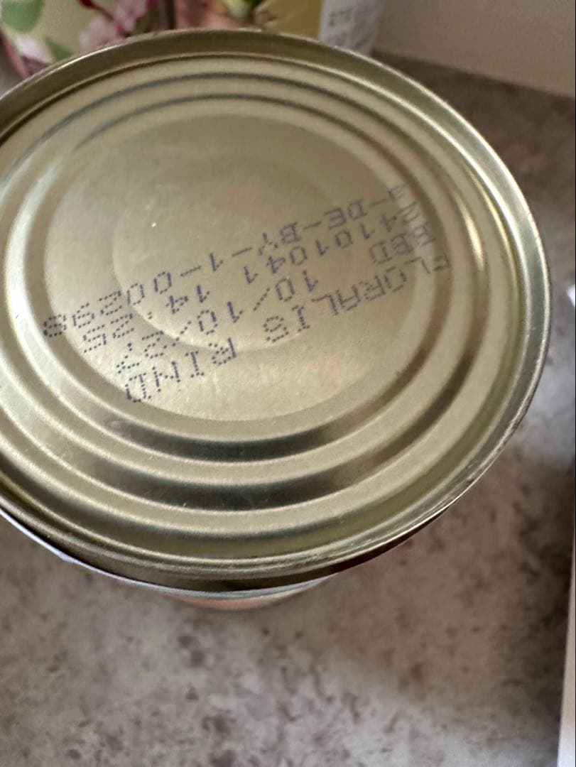 テラカニス セット